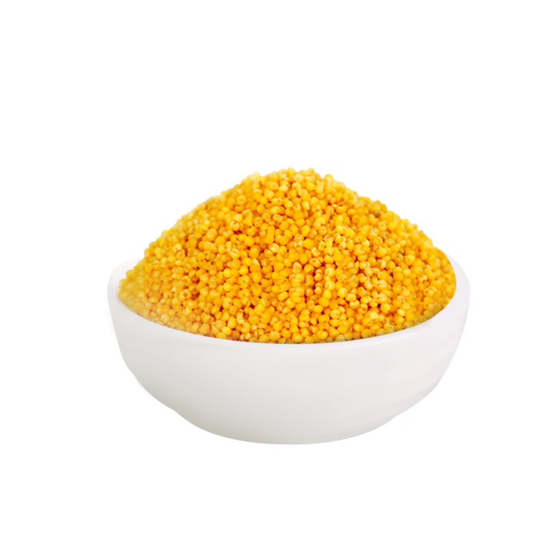 Seasonal new rice yellow millet Shaanxi authentic confinement rice glutinous rice oil millet soft glutinous rice whole grains breakfast