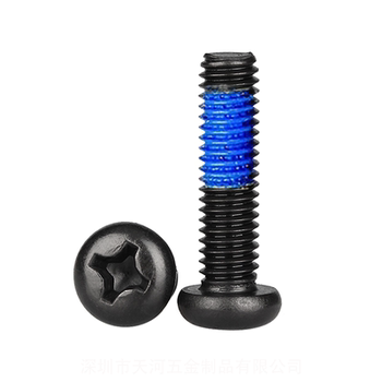 Stainless steel 304 electrophoresis black tianhe hardware round head