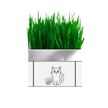 cat grass potted fur ເມັດຫຍ້າໄດ້ຖືກປູກ, ເມັດ wheat lazy, ອາຫານຫວ່າງ cat, ການປູກໂພຊະນາການ hydroponic