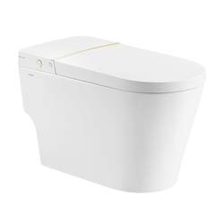 Wrigley light smart toilet electric household automatic with water tank no water pressure limit semi-smart toilet AB1027