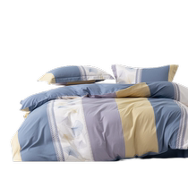 Mercury Home Textiles 40S pure cotton four-piece pure cotton suite dormitory quilt cover sheet double home bedding