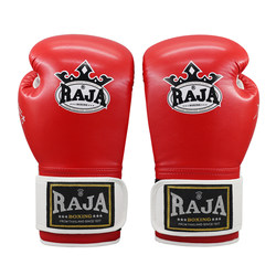 Raja Boxing Gloves for Adults, Teenagers, Men and Women, Fighting, Sparring, Training, Competition, Punching Bags, Muay Thai Gloves