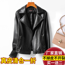 Sheepskin slim fit small jacket women's short genuine leather leather jacket