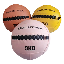Fitness Wall Ball Colorful Soft Medicine Ball Explosive Solid Ball Womens Personal Training Balanced Non-Elastic Gravity Ball Wall Ball
