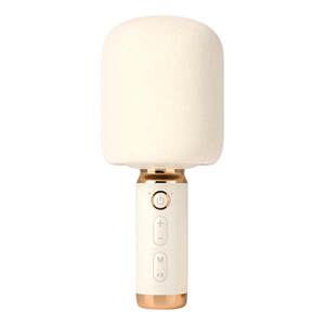 National karaoke & i want to sing with you丨same microphone