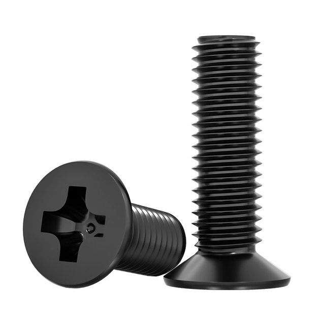 Black 304 stainless steel screws
