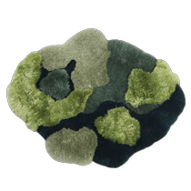 Tundra Green Australian genuine fur integrated wool carpet light luxury living room bedroom sofa bedside blanket Qingshan Meisu