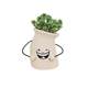 Simulated succulent tabletop potted plant living room decoration ornaments
