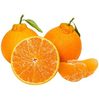 Chun jian raking mandarin | shangchao boutique