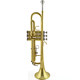 Jinbao genuine trumpet beginner band recommendation