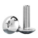316 large flat head Phillips screw
