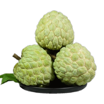 SF Express Guangdong Ringo Custard Apple Large Fruit Freshly Picked Pregnant Women Fruit Annona Seasonal Full Box