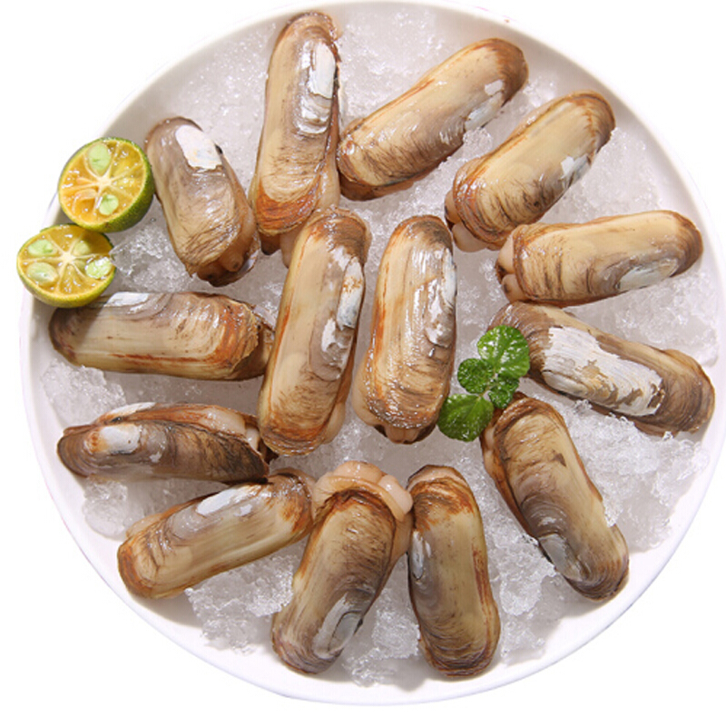 Razor clam fresh fresh sand-free wild big bamboo razor clam shell seafood aquatic products 500g Chongqing Sichuan Seafood Holy Son