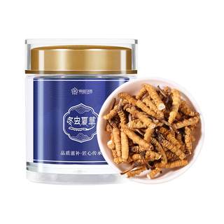 Purple Blue Flower Sea Cordyceps Sinensis Cordyceps Cordyceps 5g pack