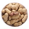 New Longyan specialty boiled, sun-dried and salted peanuts