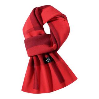 Warrior Dd Winter Scarf for Women, Simple and Versatile Neck Warmer for Men, Festive New Year Atmosphere Shawl for Women