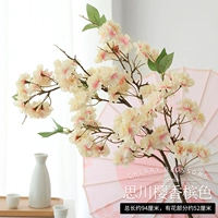 Sichuan Cherry Champagne Color