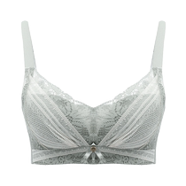 Tingmeis new underwear for women with small breasts push-up and auxiliary breast adjustment type no wire bra breathable bra