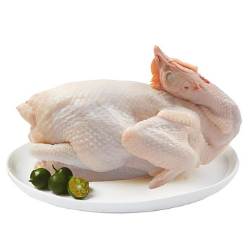 Guangming ecological farm’s free-range chickens that don’t crow