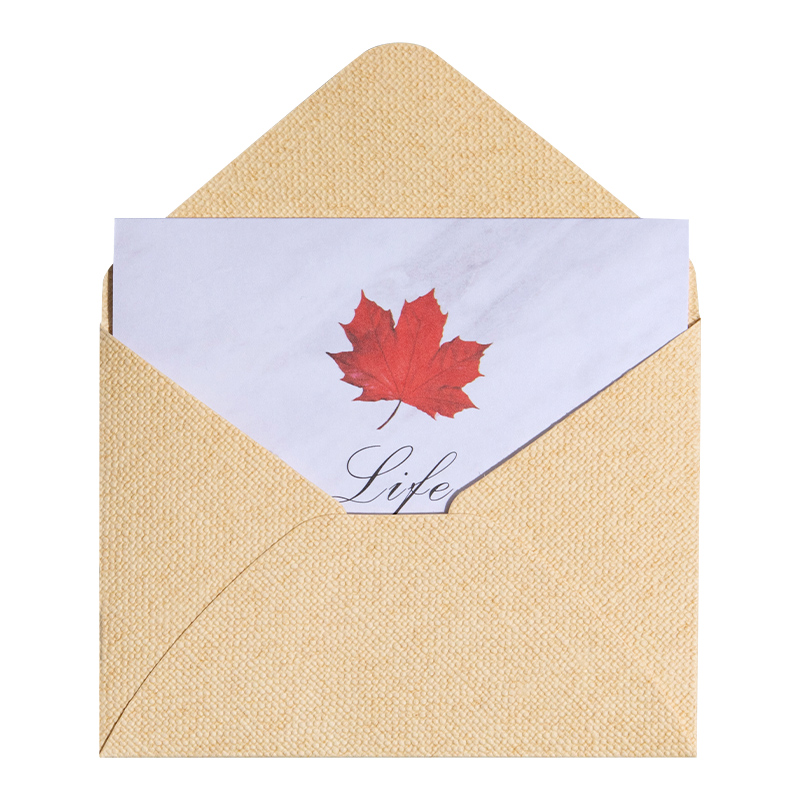 Greeting card small card set single page advanced simple ins