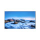 Fresnel Nut Projection Laser TV Curtain