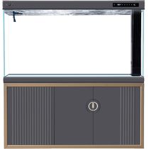 Suoyi fish tank living room large 2024 new ecological smart aquarium ultra-white filter entrance screen home