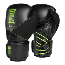 EVERLAST PROTEX boxing gloves for men and women Sanda fighting competition training sandbag gloves