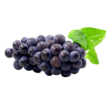 Yunnan Xia Black Grape Fresh Pick Non-nuked Seed Blueberry Black Tiko Когда Сезон Беременная