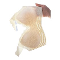 Catman underwear for women with small breasts push-up seamless bra no steel ring auxiliary breast control anti-sagging bra sports and beautiful back