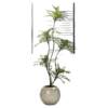 Yangma recommends 2025 newly upgraded simulated nandina bamboo