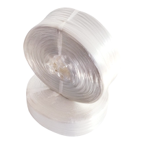 Plastic strapping rope manufacturer pp new material packing tape packaging fiberglass sealing bundling beer rope wholesale