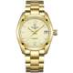 Shanghai Diamond Watch Men's Automatic Mechanical Watch Waterproof Luminous Fashion Watch 6102 Official Authentic Men's Watch