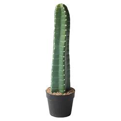 Simulated Cactus Green Plant Potted Plant Window Decoration Tropical Desert Cactus Plant Landscaping Fake Cactus Ornaments