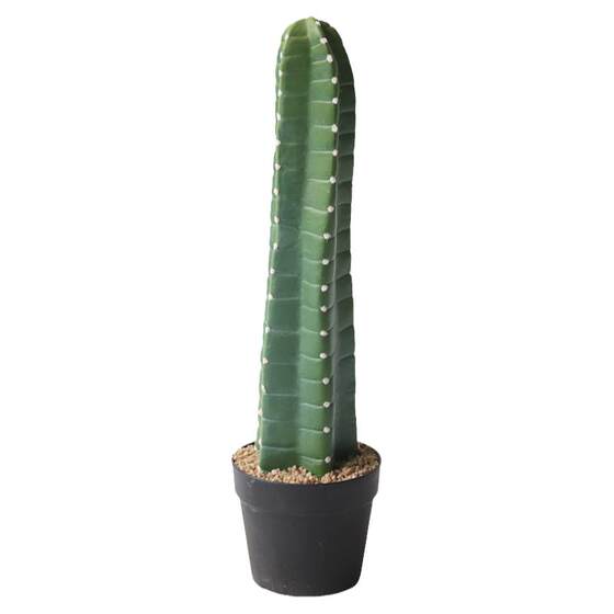 Cactus potted cactus landscaping decoration ornaments