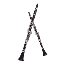 Golden tone clarinet instrument clarinet silver-plated nickel-plated keys B flat beginners entry test JYCL-S300