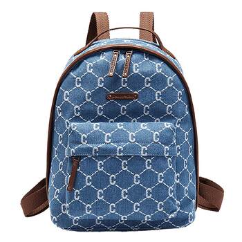 Champion stylish backpack