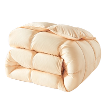 Boyang Poland imported white duck down winter duvet thickened duck down quilt core to keep warm all seasons double spring and autumn quilt