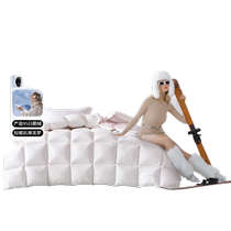 Waterstar Home textile songhua White goose вниз по типу антимитовой антибактерии ядра антибурения зимняя зима с помощью прикроватных припас