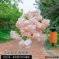 Красочный ультразвуковой цвет шампанского