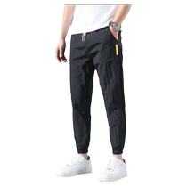 2024 Mens Nine-Point Pants Trendy Versatile Loose Sports Pants Ice Silk Summer Thin Youth Workwear Trousers Casual Pants