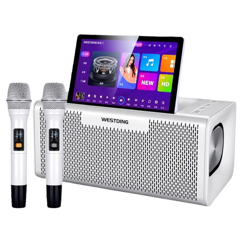 New high-end karaoke movie-watching all-in-one voice control