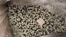 Вал 清仓盲盒，键帽，套件，键盘，轴，等等，随机