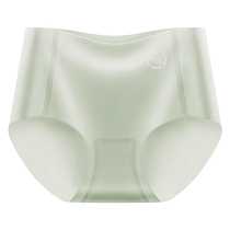 Catman Ice Silk Seamless Underwear Womens Pure Cotton Antibacterial Crotch Summer Thin Breathable Girls Large Size Briefs