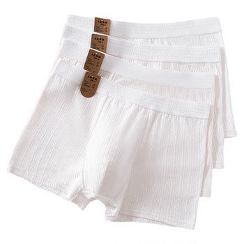 ຝ້າຍບໍລິສຸດ antibacterial breathable ກິລາ underwear ເດັກຊາຍ seamless