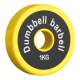Iron-coated dumbbells and iron-coated dumbbell plates and barbell plates are dual-purpose