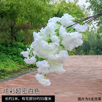 Красочный ультразвуковой плотный белый