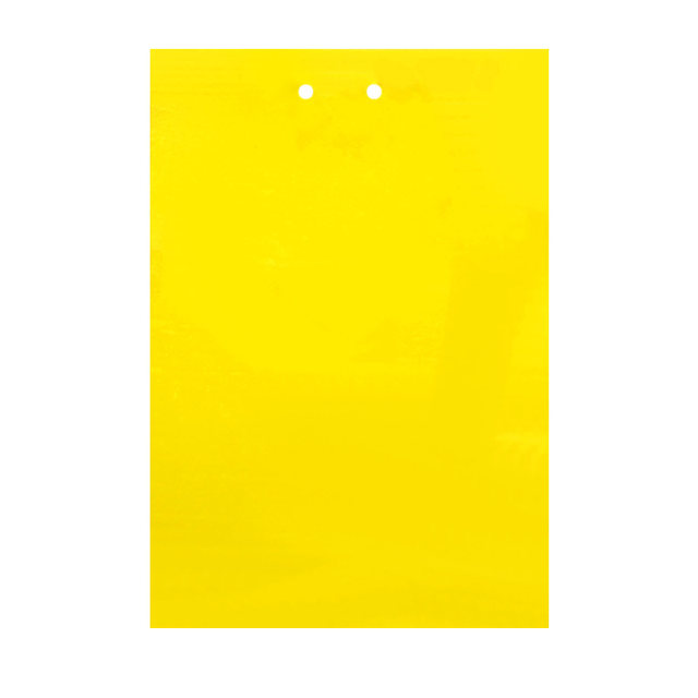Household yellow sticky insect board double-sided strong