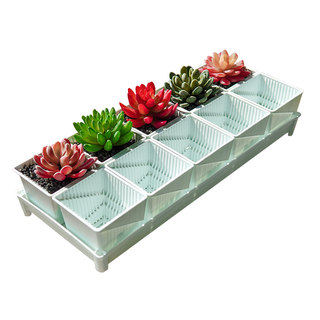 Meishi succulent special root control flowerpot resin set