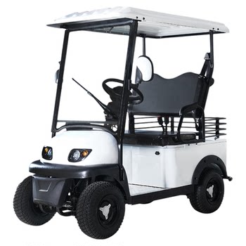 Mini bus golf cart