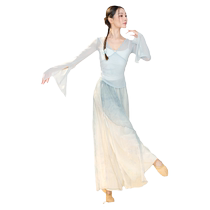 Liuge Classical Dance Body Style Elegant Gauze Suit Dance Costume Chinese Dance Performance Costume Ethnic Basic Training Costume